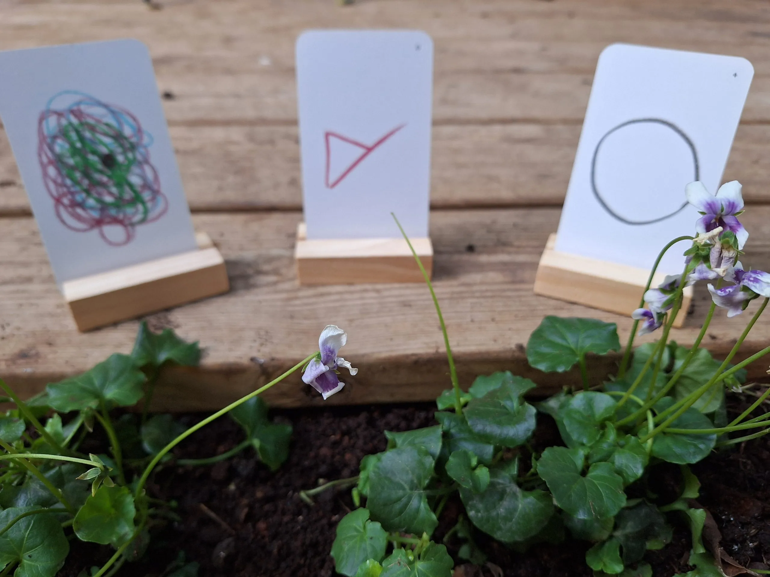 Creative process inspired by the cards